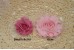 Shabby Flowers (Pack of 6) - 6cm 